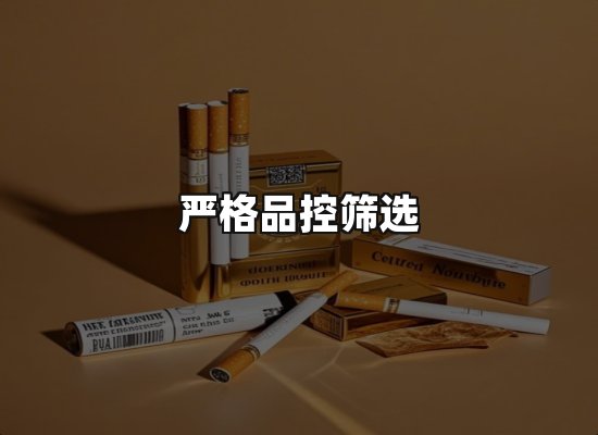 专业优势